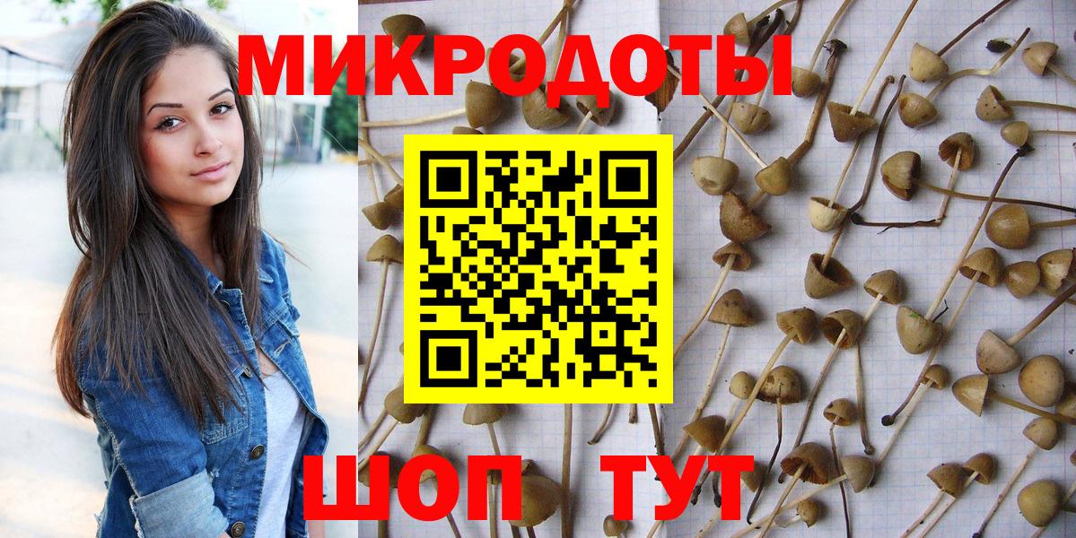 Псилоцибиновые грибы Cubensis Черкесск