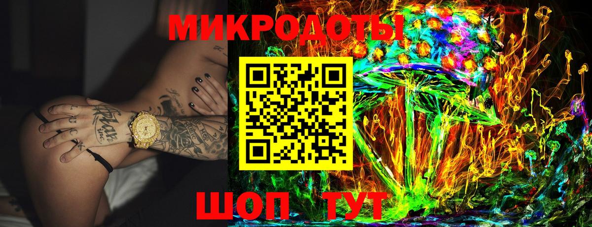 Галлюциногенные грибы Psilocybe  Вход с VPN  купить наркотики сайты  Черкесск 